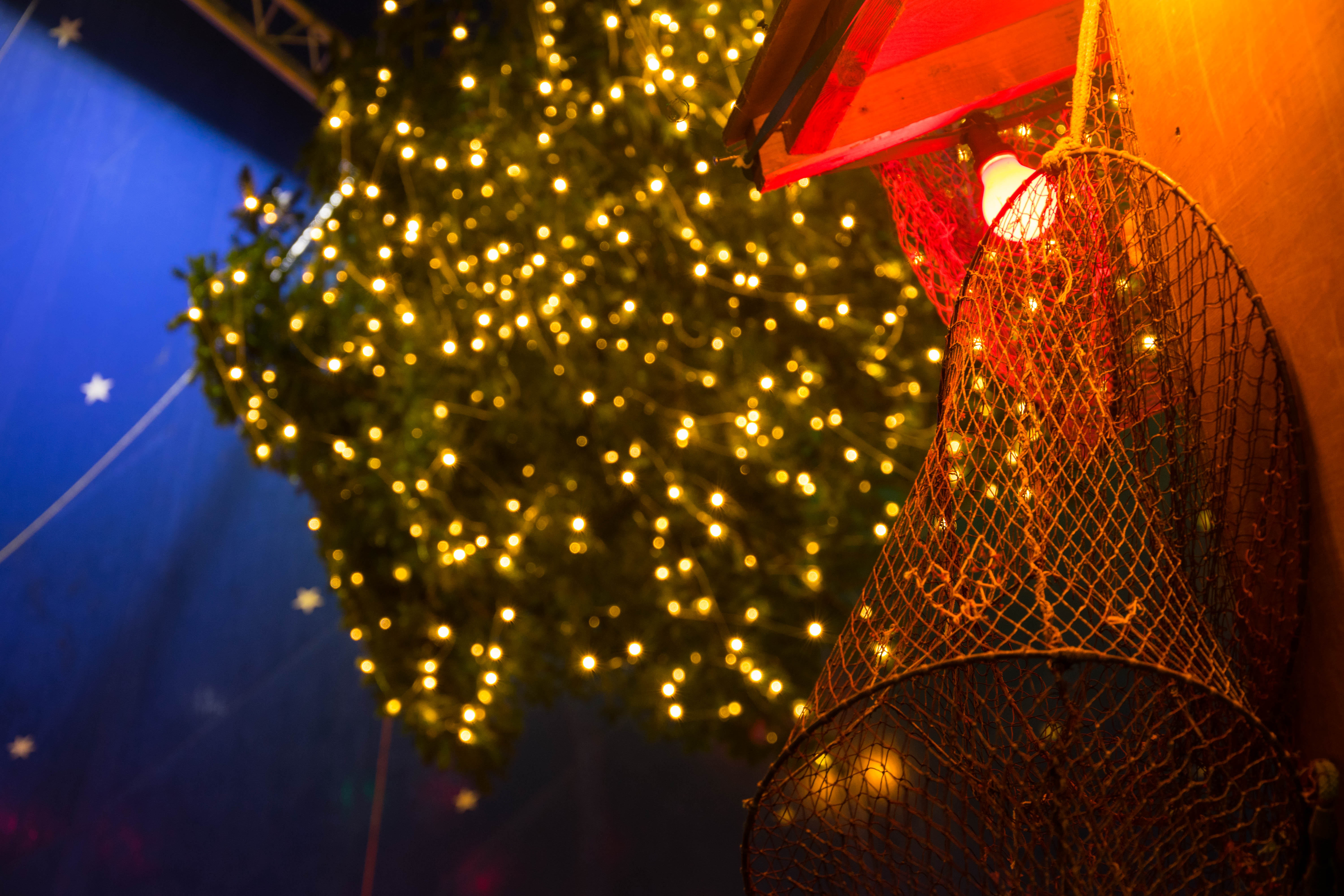 Weihnachtsbaum kaufen